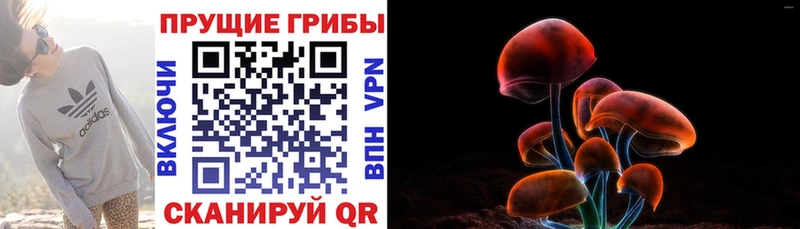 блэк спрут онион  Верхняя Тура  Псилоцибиновые грибы Magic Shrooms 